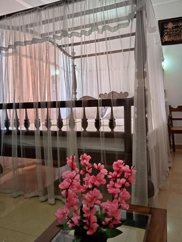 Hotel Dolphin Hikkaduwa Extérieur photo